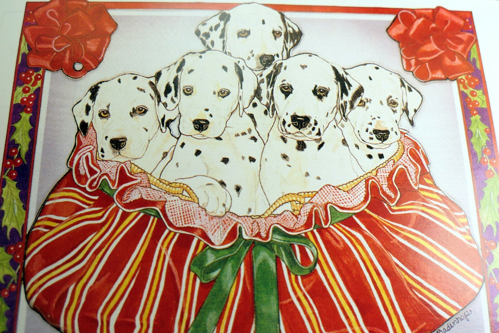 Get well postcard animal shelter north shore league dog puppies 1980's
