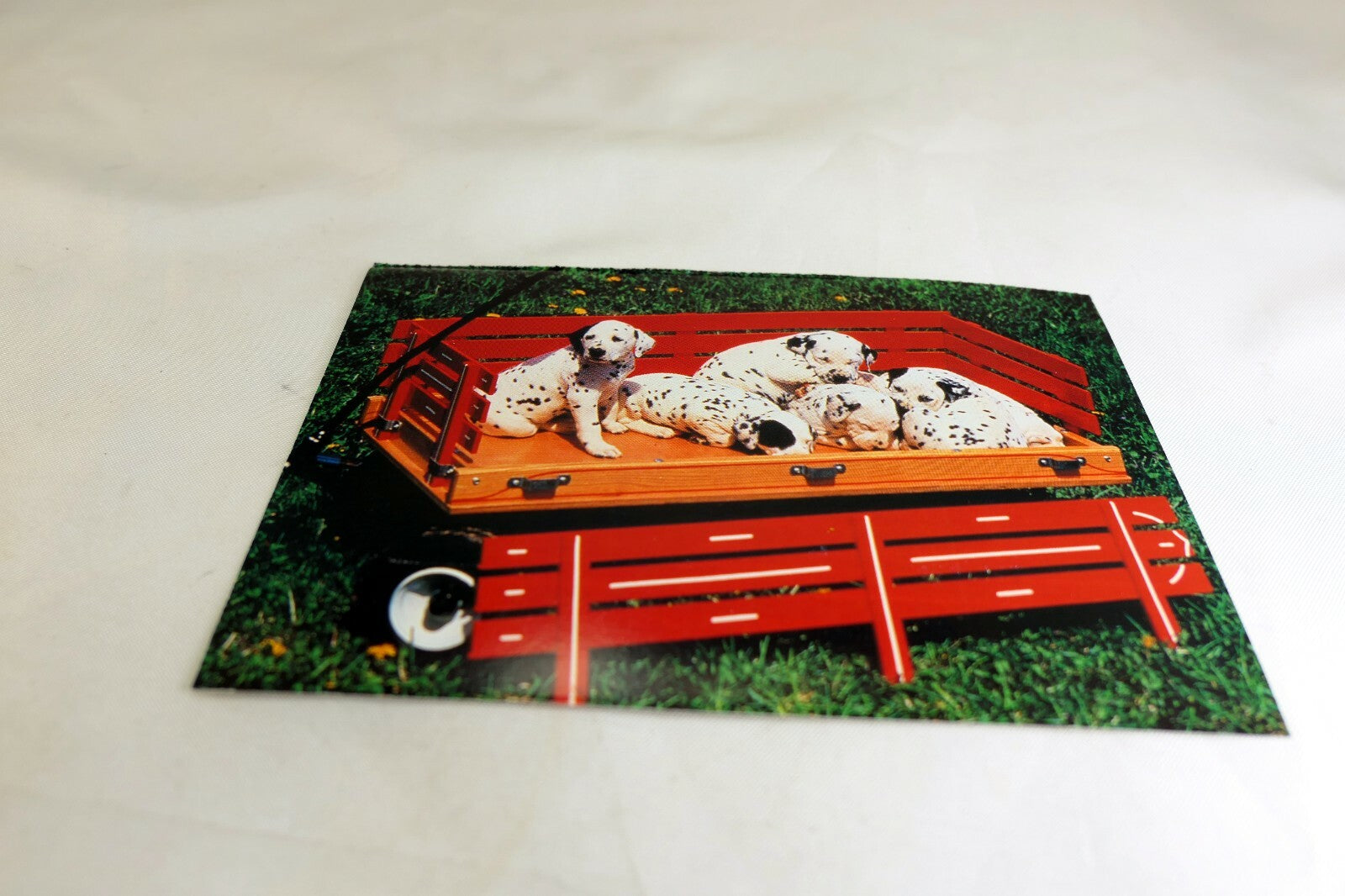 Greeting Postcard Animal Shelter North Shore League Dog Puppies in a Wagon 1980'