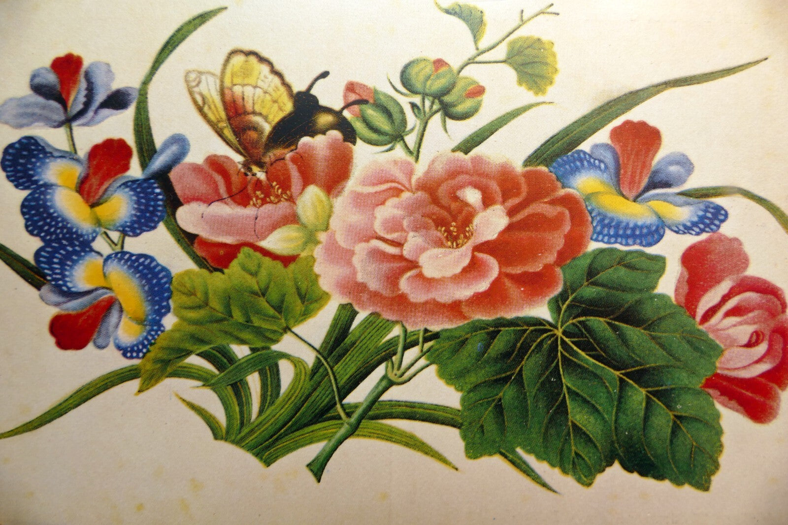 Woldemar klein blumen und schmetterlinge chin postcard germany   unposted art