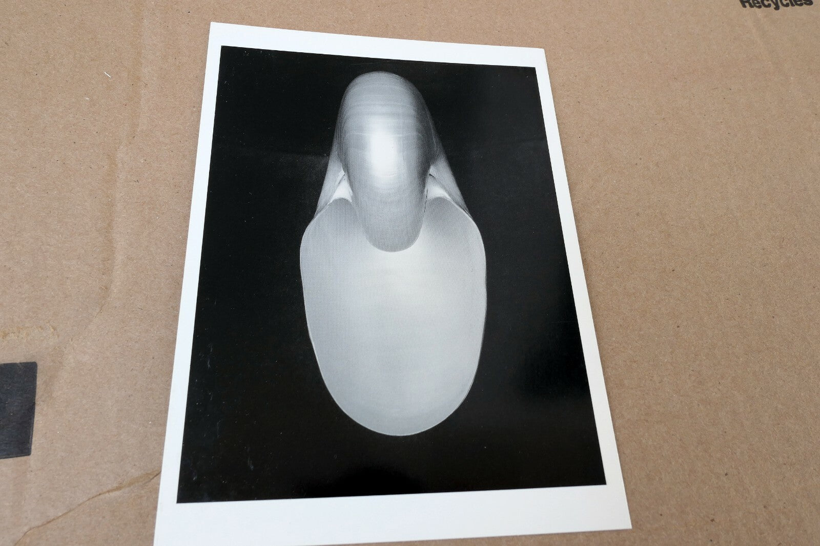 Shells 1927 1-S Photograph by Edward Weston greeting card unposted W-001-75