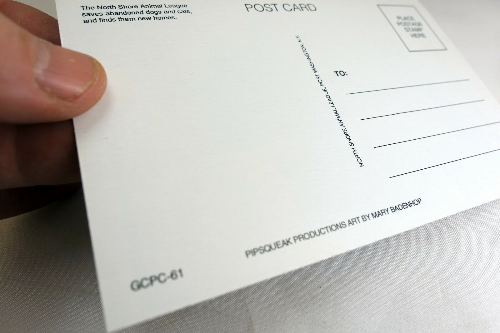 Just a Note Postcard Animal Shelter North Shore League Adopt a Pet Kitten 1980's