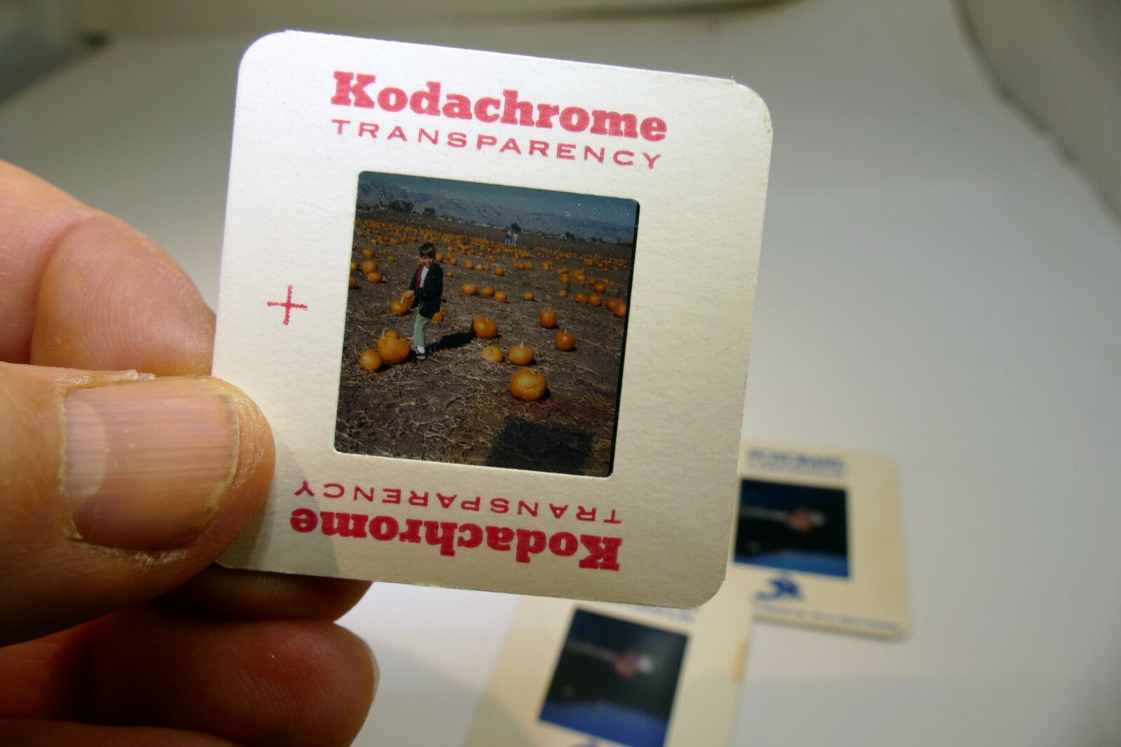 5 Color Slides 1970's  family pictures pumpkins landscapes pool