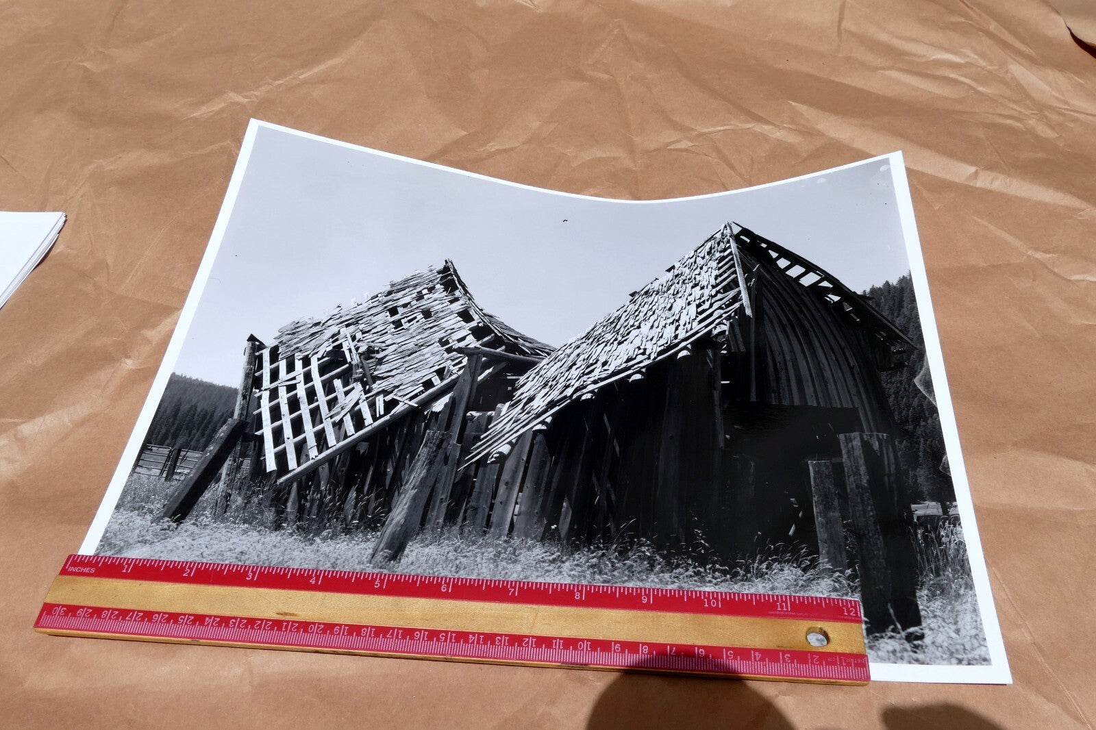 Mt. Shasta California 11X14" Black & white Picture Photo Abandoned Cabin USA