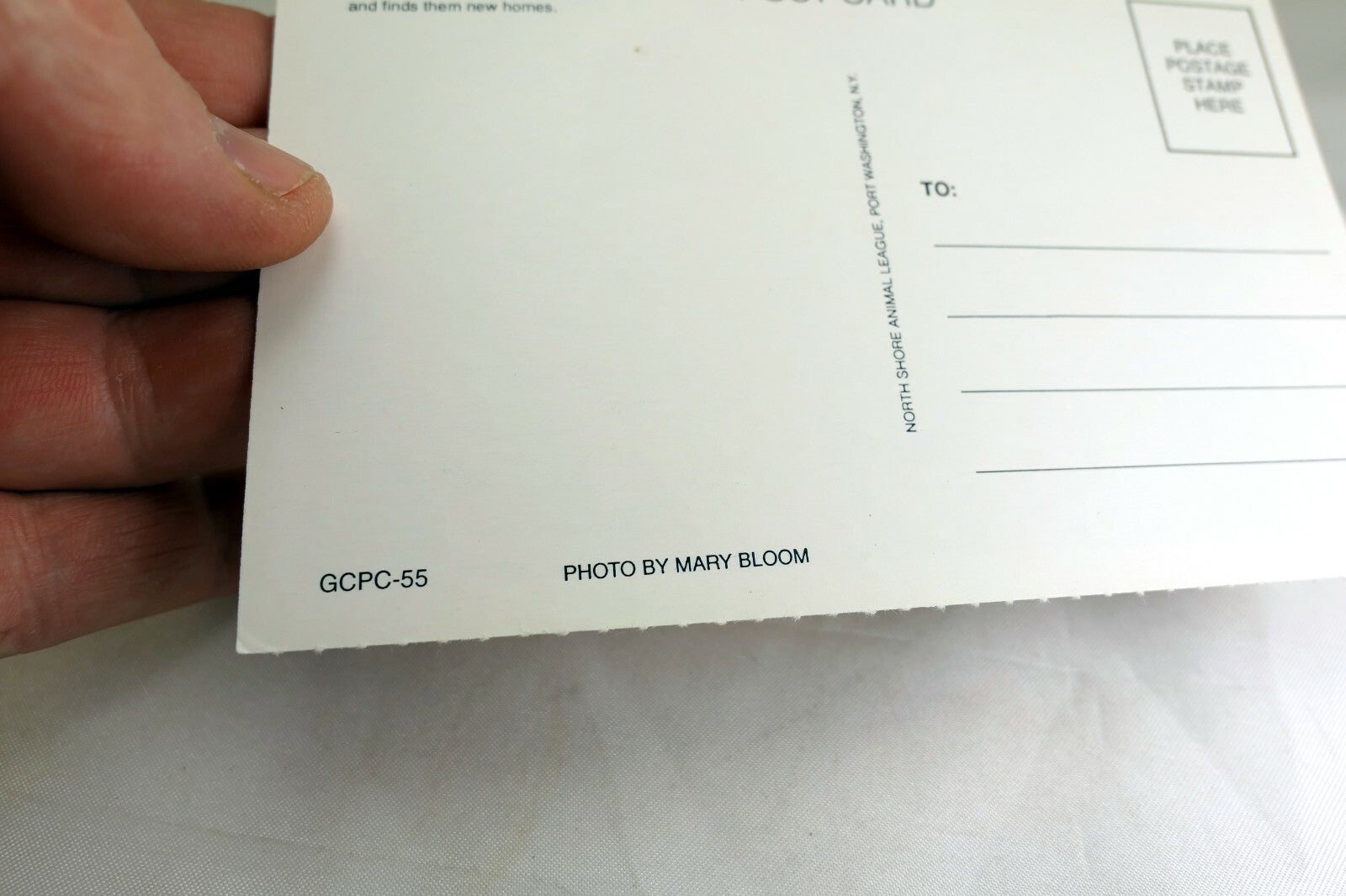 Get Well Postcard Animal Shelter North Shore League Child and Dog on Beach Sunny