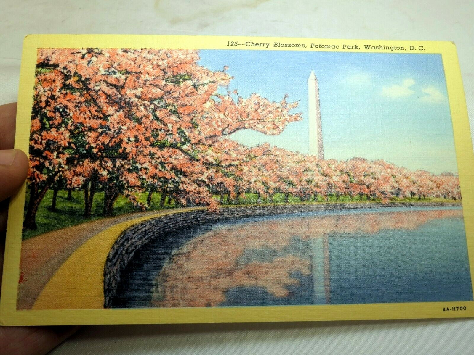 Postcard washington monument potomac cherry blossoms washington dc linen 1940s