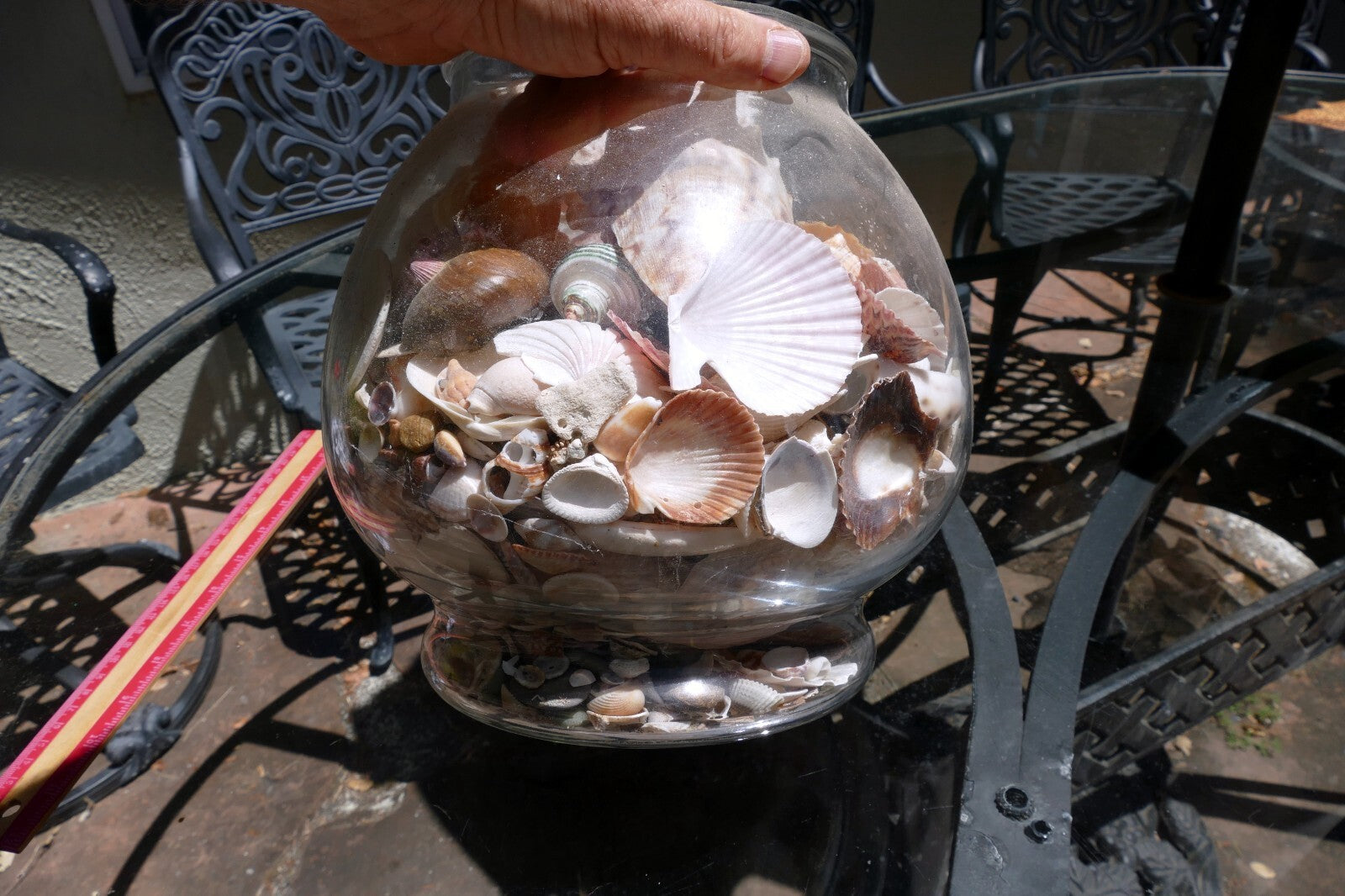 15 LBS Huge lot of Ocean Shell Seashell with glass bowl California San Francisco