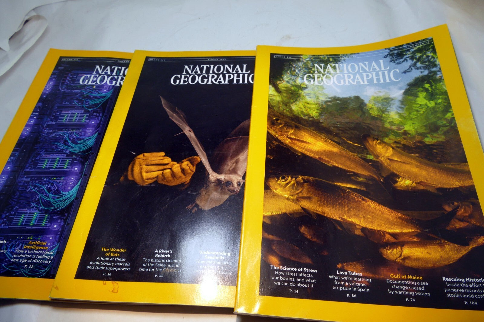National geographic magazine lot june, august, november 2024 pack of 3