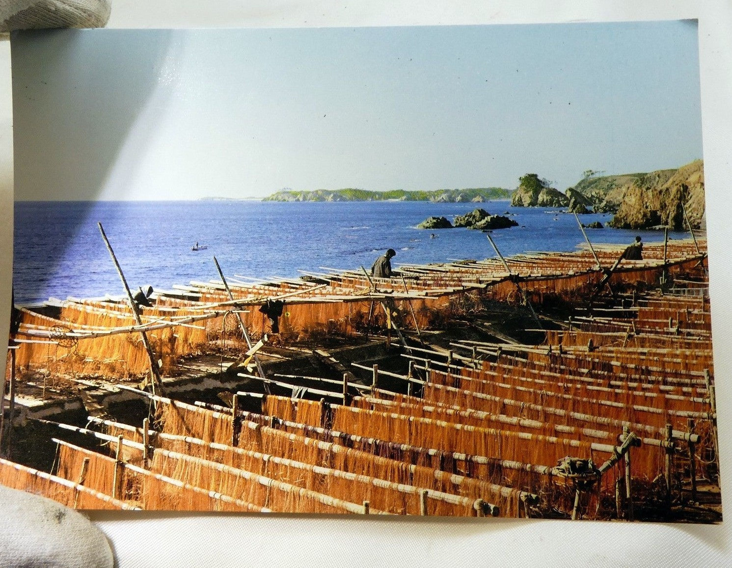 Japan sendo no hama daiozaki postcard 6x4" vintage 1950's