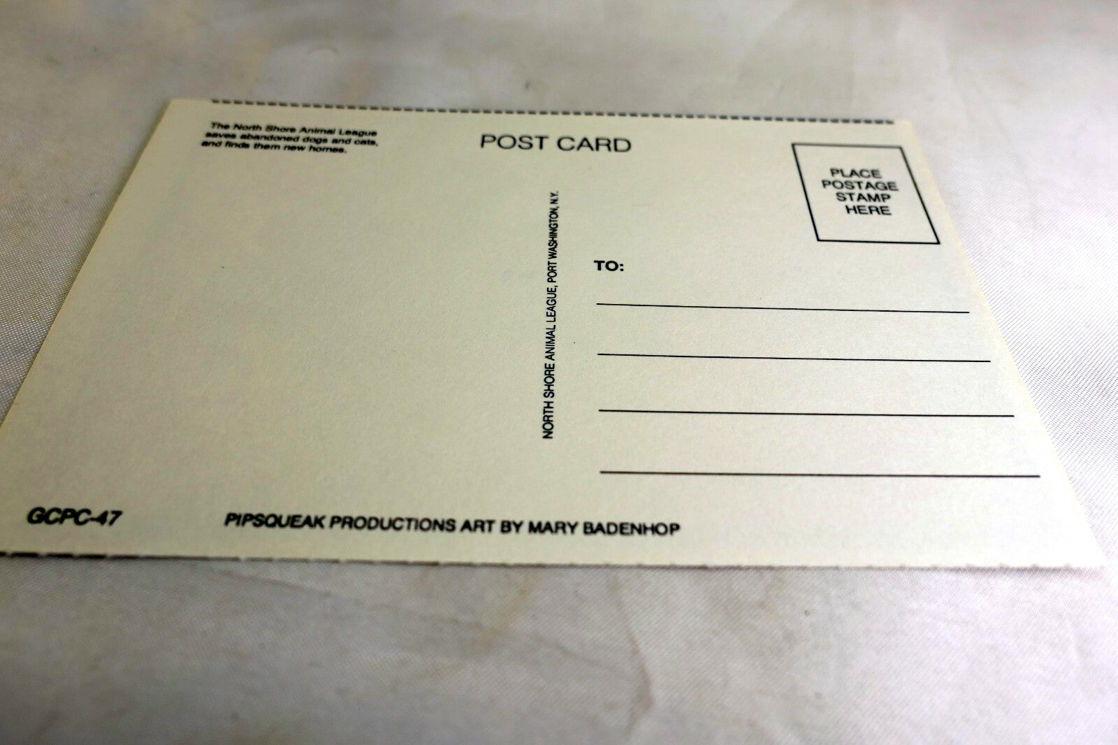 Thinking of You Get Well Postcard Animal Shelter North Shore League Dog Puppies