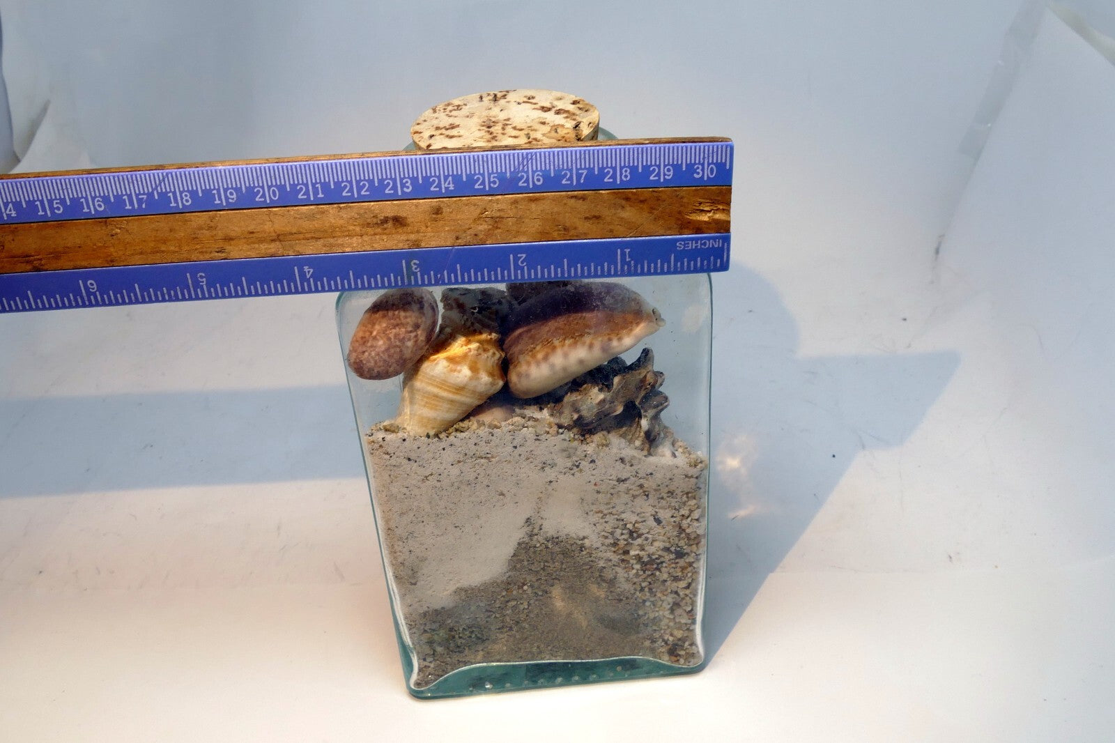 Pacific Island Ocean Shells Jar Beach bottle Triangle Clear Glass Hawaii USA