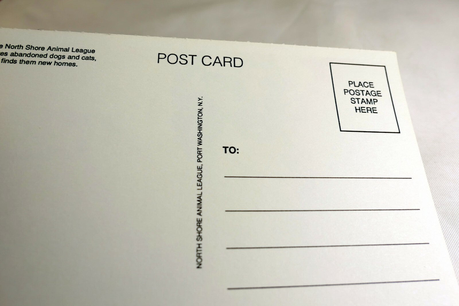 Postcard Animal Shelter North Shore League Adopt a Pet Kitten Cat vintage 1980's