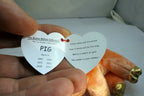 TY Beanie Baby PIG ( Chinese Zodiac Collection )  plush toy 8"