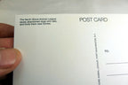Happy Valentin's Day Postcard Animal Shelter North Shore League Dog Adopt 1980's