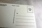 You're Special Postcard Animal Shelter North Shore League Adopt a Pet Kitten