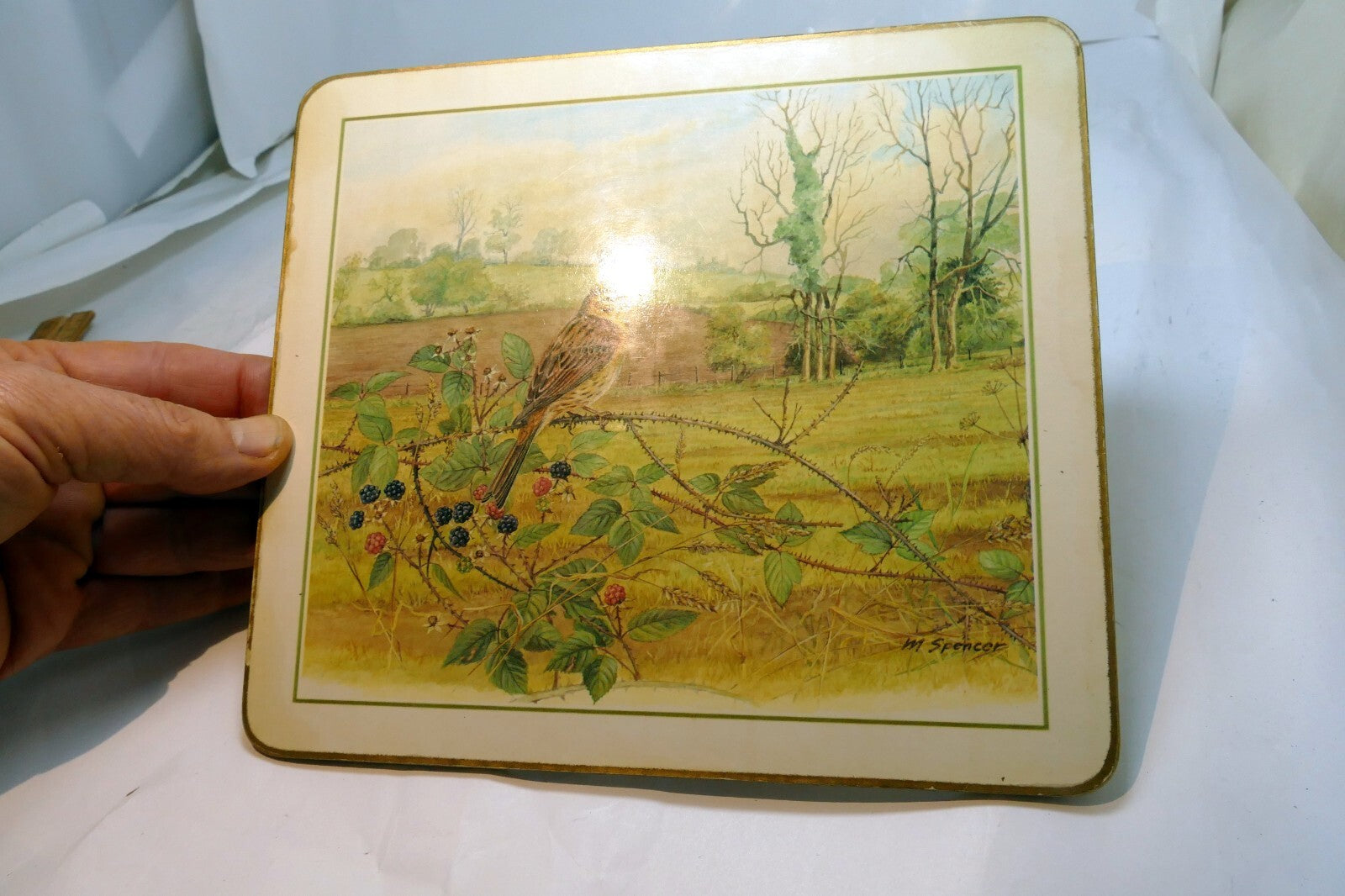 Bird  Placemat   mat 7X8" by M. Spencer Birds - vintage