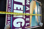 Mabel TENG Poster for Community College Board San Francisco Chinatown
