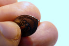 St. Christopher Pendant Charm St. Raphael Protect us w/ - broken ring on top