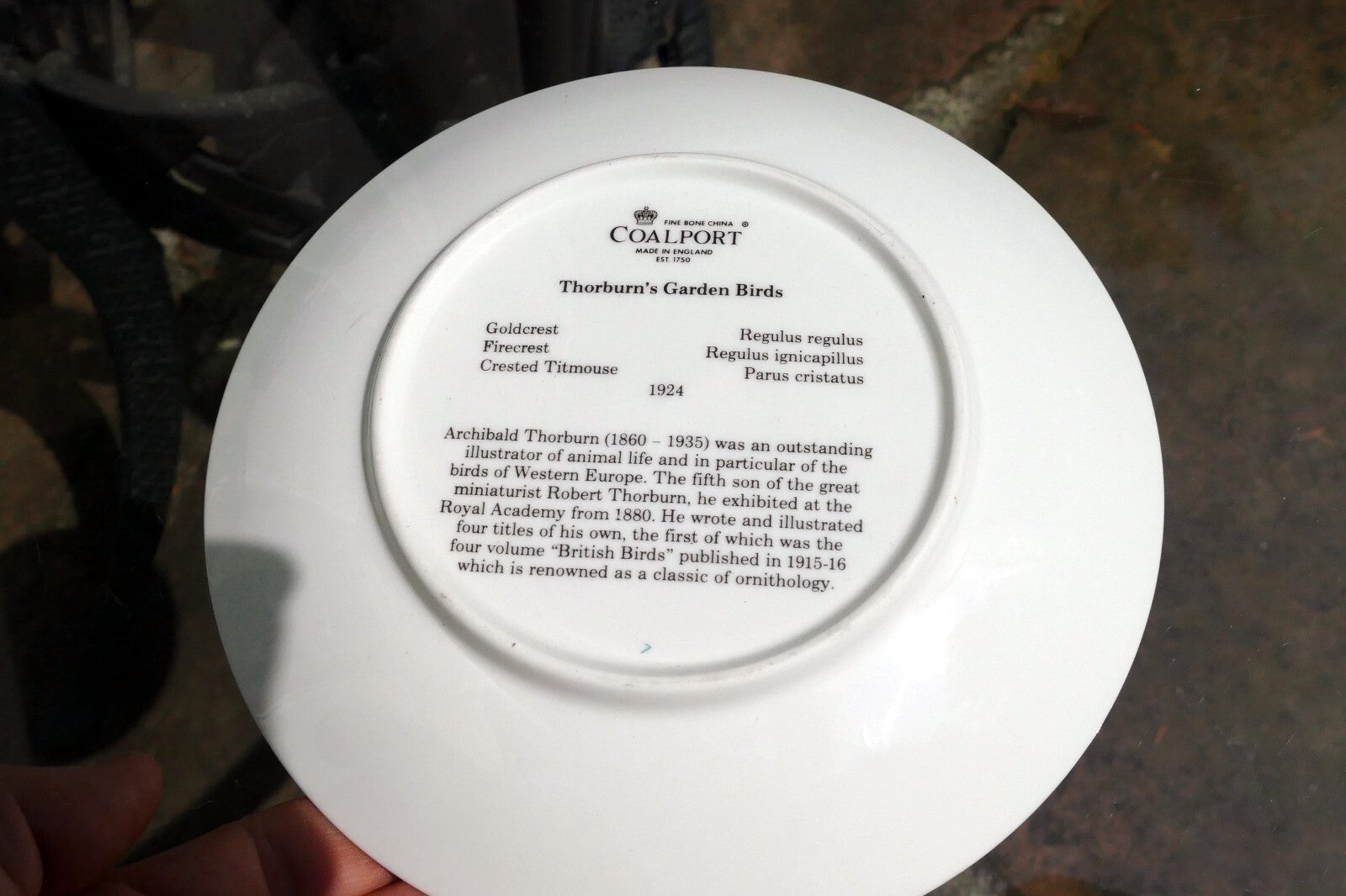 Coalport BIRD PLATE 8" 20cm England Goldcrest Firecrest Titmouse Thornburn's gar