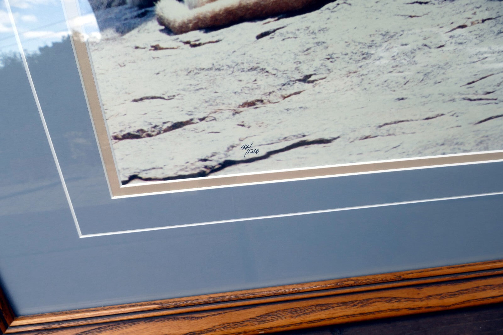 Thomas D. Mangelsen LE 42/1200 print  30X17" "Cub Scouts" resting - signed