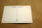 Firenze Palazzo Vecchio Cortile Italy 1910c postcard - unposted