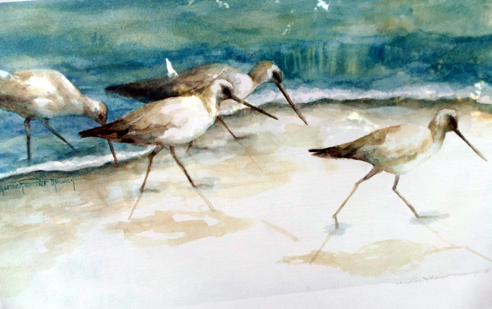 Artist maxine remont macway wildlife art shorebirds “sandpipers” print