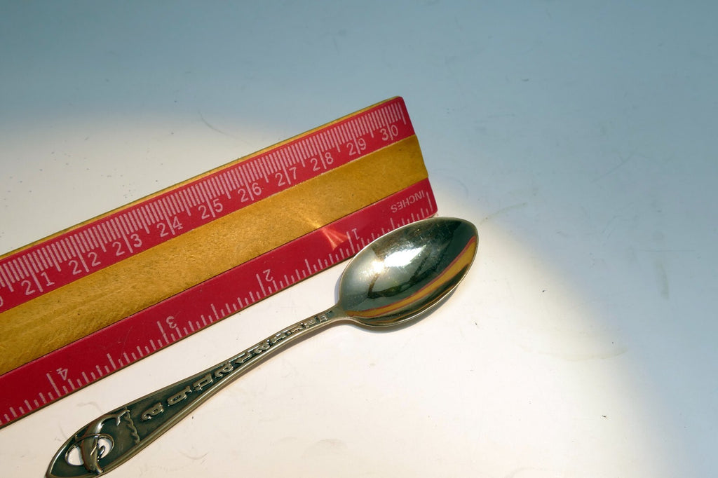 Aquatarium Aquarium Souvenir Spoon Dolphin Steel Collectible Vancouver Aquarium