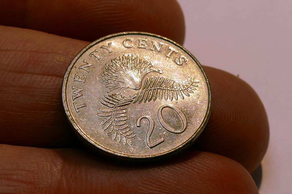 1996 Singapore 20 Cents Powderpuff Plant coin