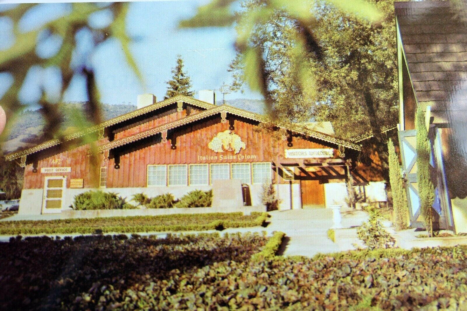 Italian swiss colony wine tasting room california usa postcard 1970's