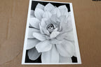 1976 Succulent Flower blossom Photograph by Don Worth D-001 greeting card