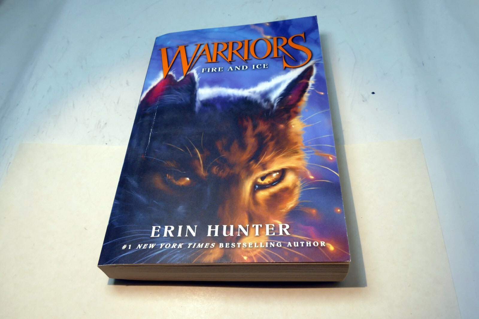 Erin Hunter Warriors #2 (Paperback) Fire and Ice - very good