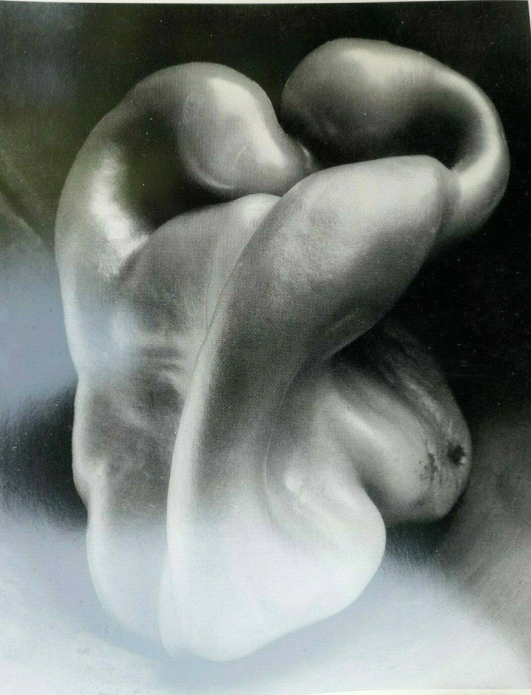 "pepper" 1930 photograph by edward weston postcard vintage unposted ew 3