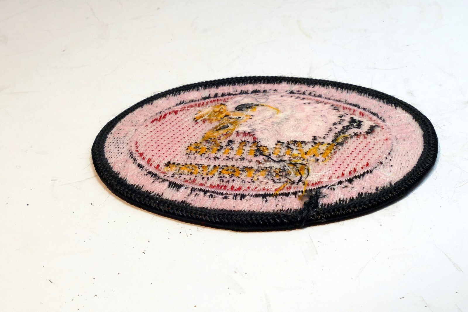 WILDLIFE FOREVER Embroidered Iron On Patch Badge Eagle Support 1999 Conservation