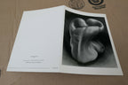 Pepper 30-P 1930 Photograph by Edward Weston unposted EW-003-85 Greeting card