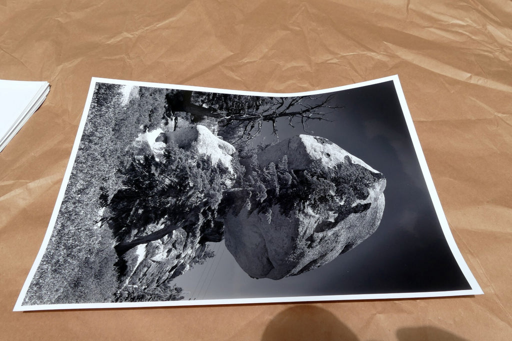 Yosemite California 11X14" Black & white Picture Photo Boulder Rock sky Unsigned
