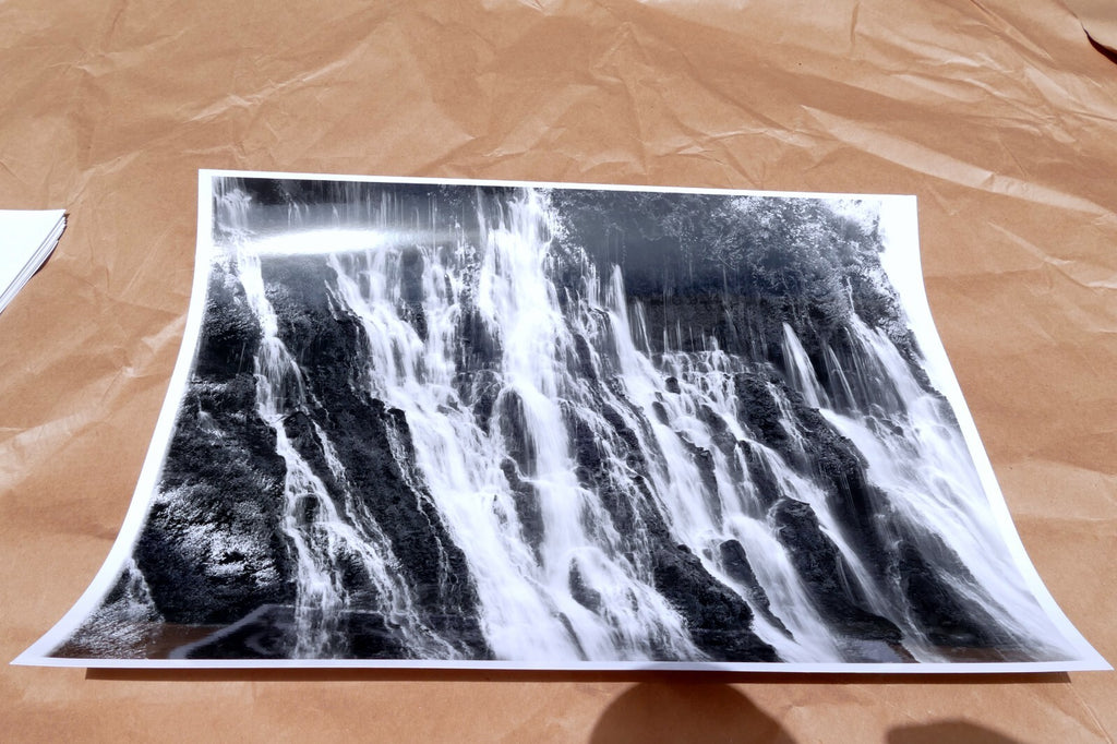 Mt. Shasta California 11X14" Black & white Picture Photo Burney Falls USA