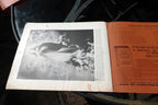 Sights and Scenes of the World - Part 10 , Photo Views of the world Dec. 1893