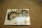 Hummel - Unposted - Bub Mit Heuschrecke  Postcard W. Germany Art