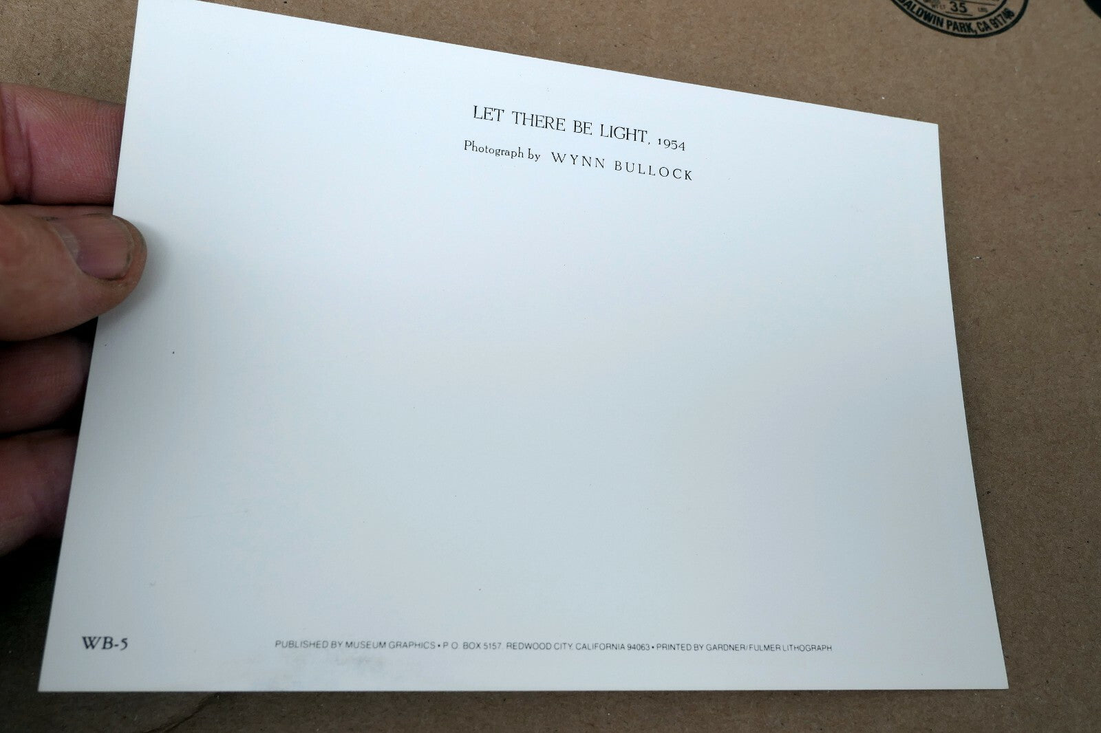 Let There Be Light 1954 Photograph by Wynn Bullock POSTCARD WB-5