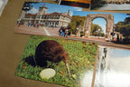1970-80's Postcard unposted New Zealand Auckland Landscapes kiwi Sheep