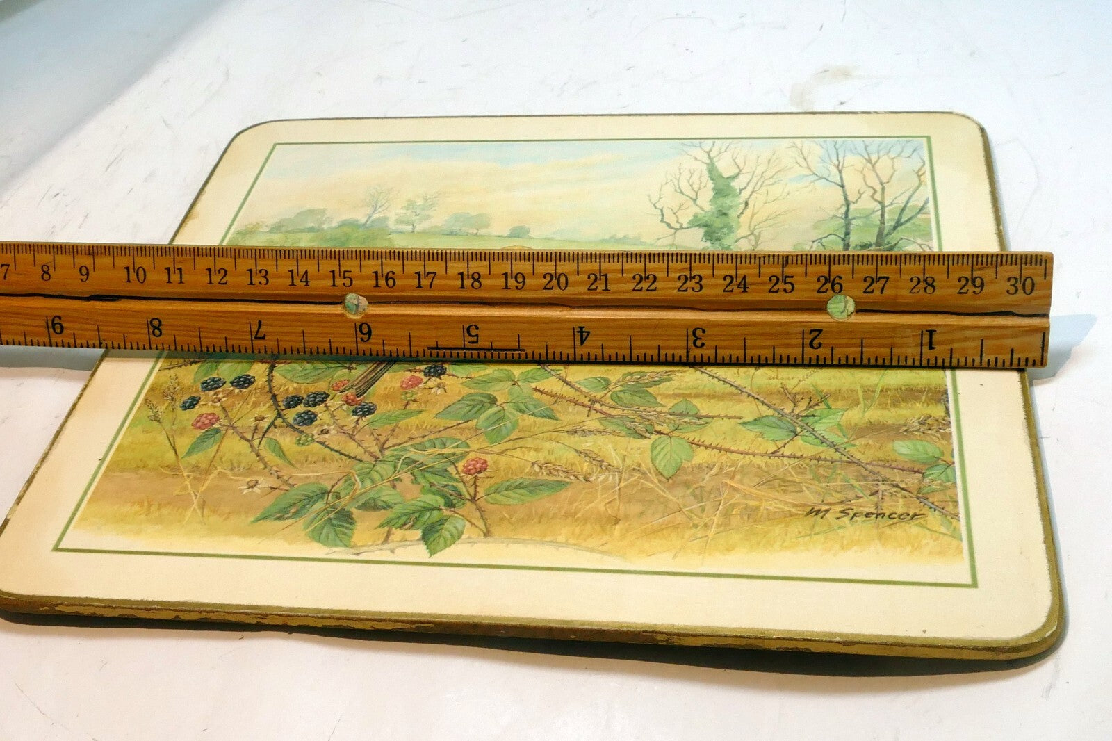Bird  Placemat   mat 7X8" by M. Spencer Birds - vintage