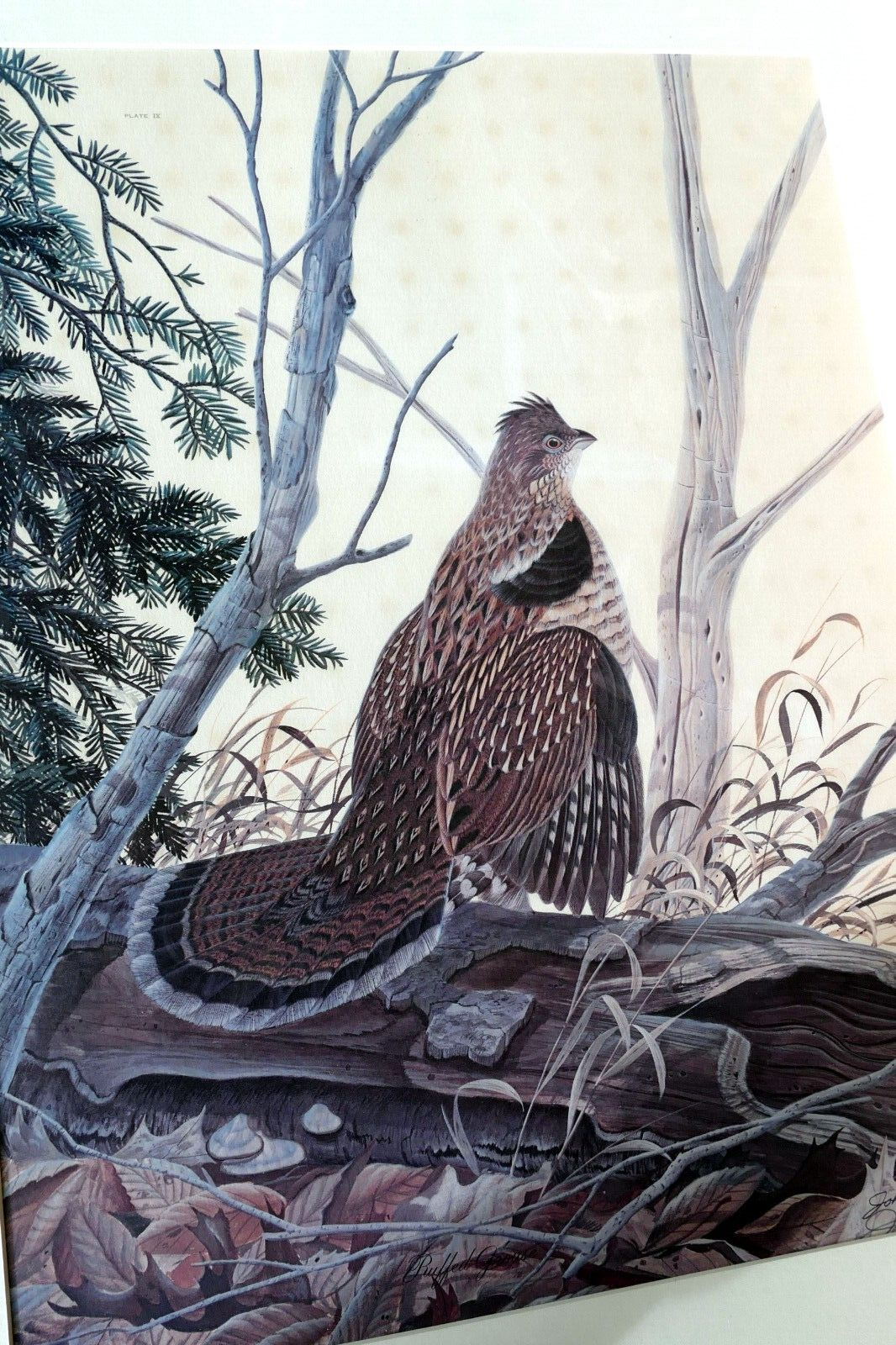 John a ruthven signed numbered limited edition print "ruffed grouse" 18x24