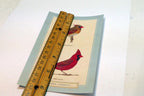 Northern Cardinal Postcard Bird by David Sibley - unposted , new