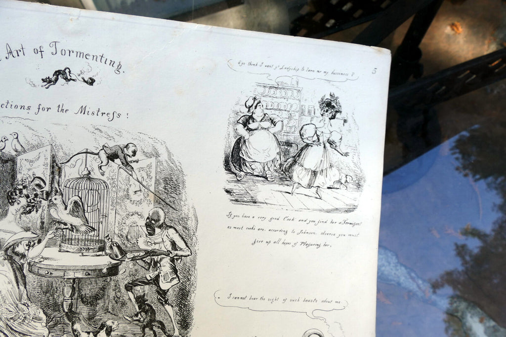 The ART of TORMENTING No 5 HENRY HEATH CARICATURE PRINT  1840 Victorian