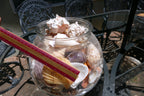 15 LBS Huge lot of Ocean Shell Seashell with glass bowl California San Francisco