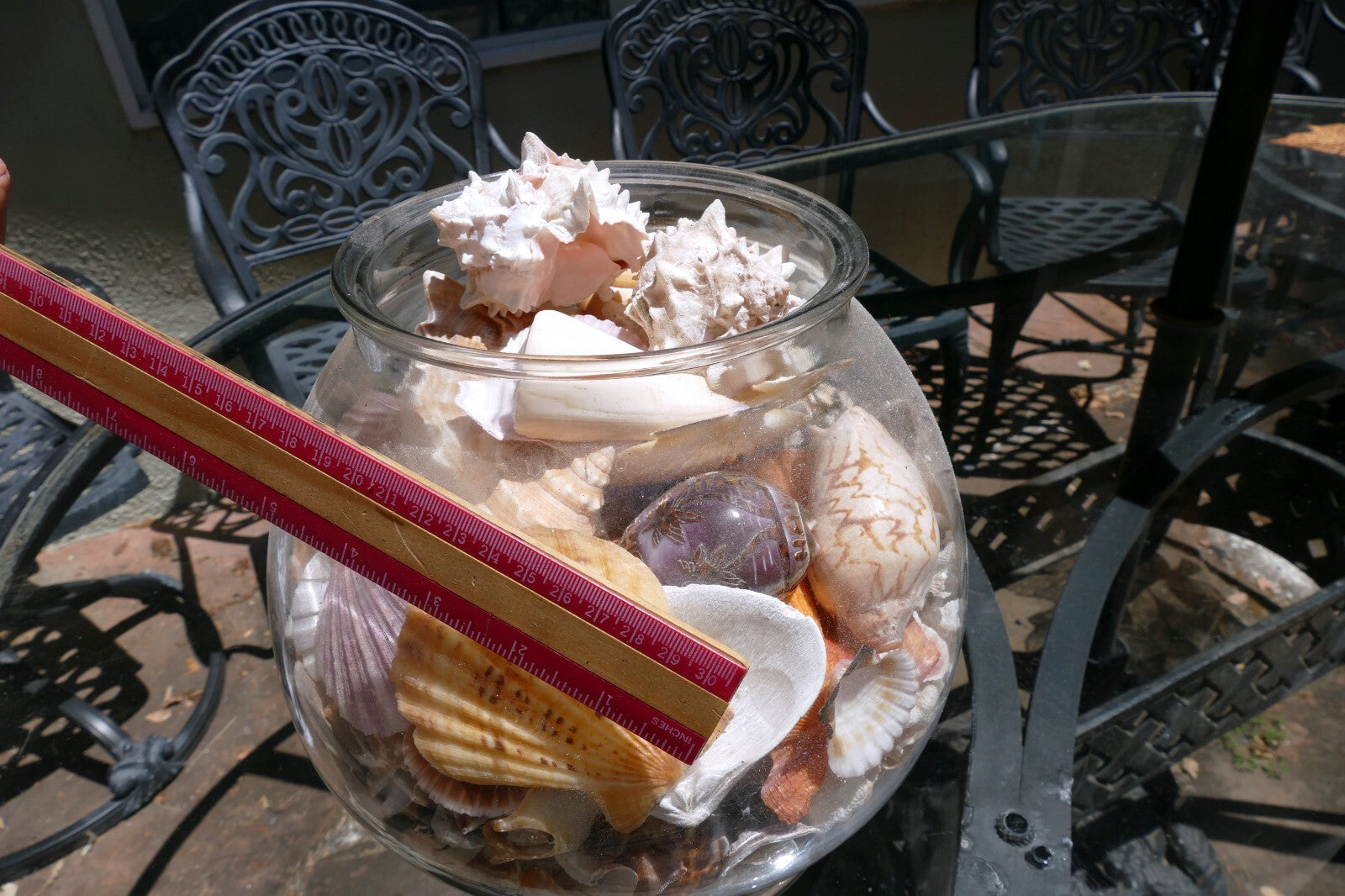 15 LBS Huge lot of Ocean Shell Seashell with glass bowl California San Francisco