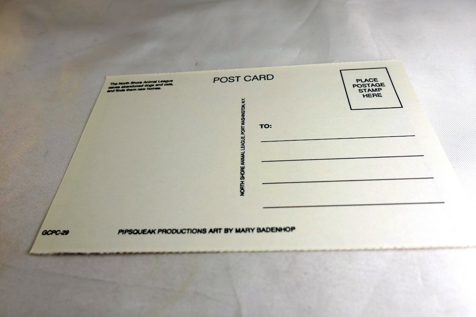 Hello! Postcard Animal Shelter North Shore League Adopt a Pet Kitten Cat vintage