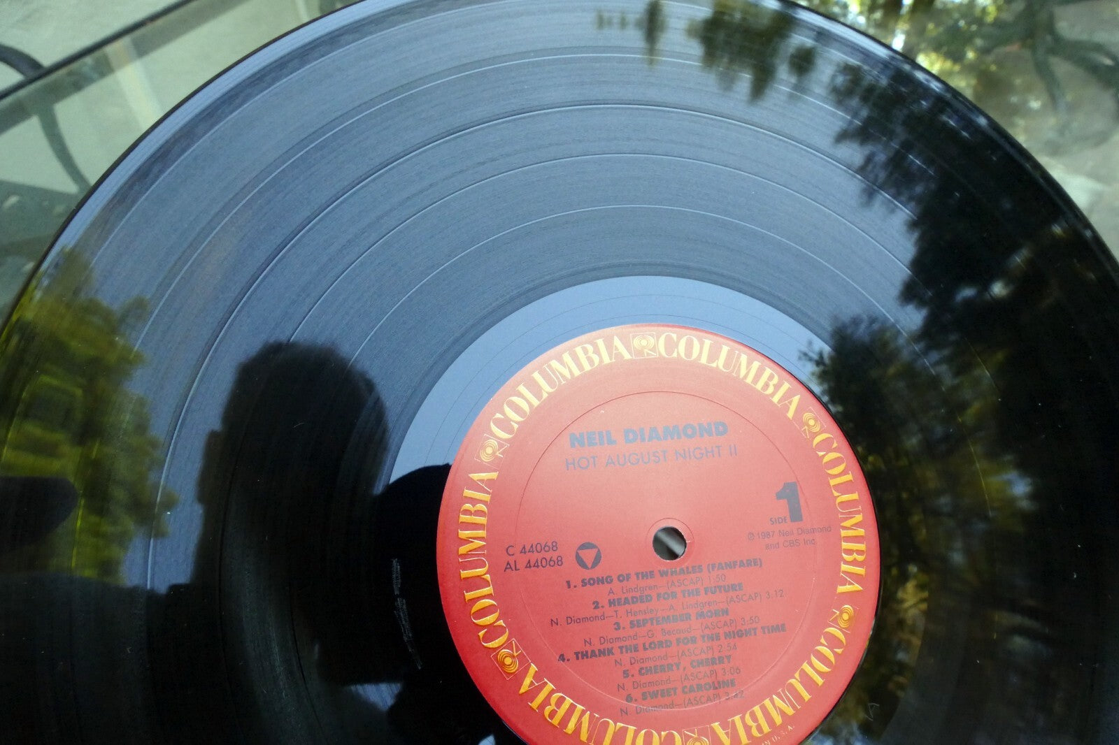 Neil Diamond Vinyl 2LP Hot August Night II Live Concert 1987 Columbia records VG