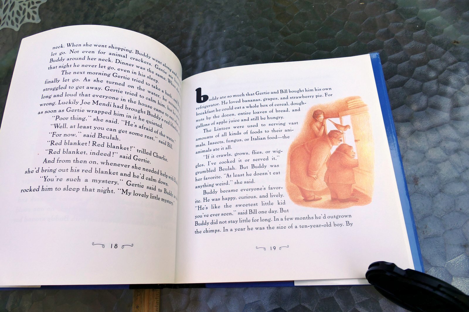Buddy by William Joyce 1997 hardcover