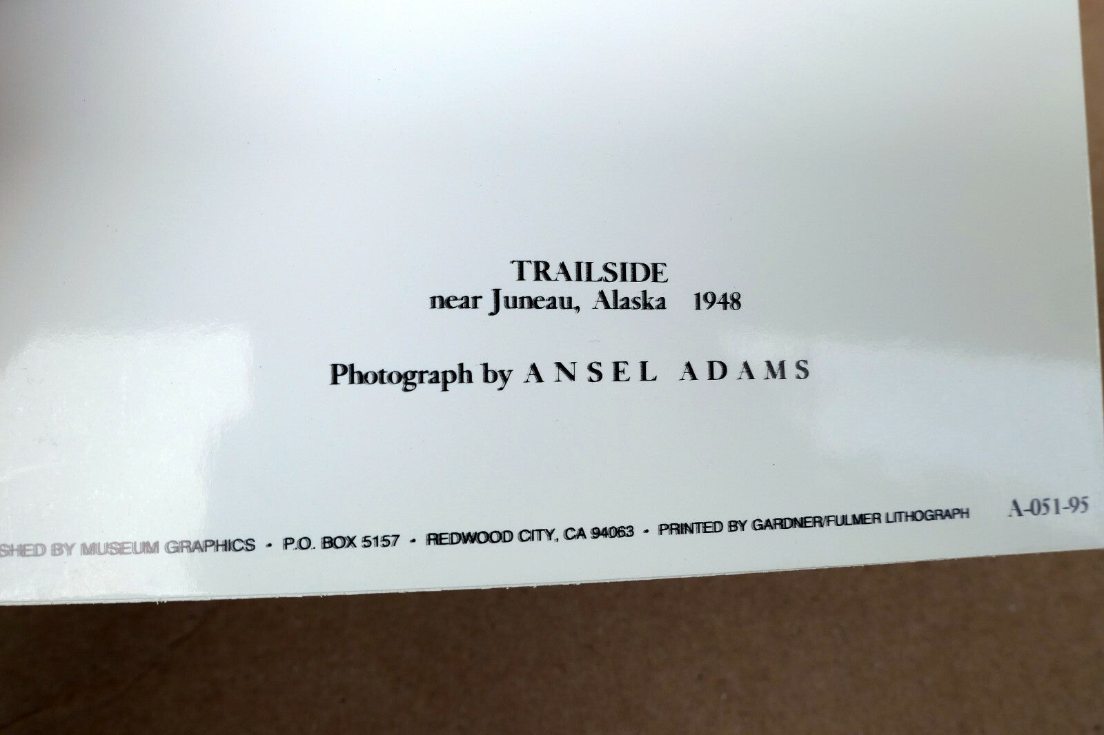 Trailside Juneau Alaska Photograph by Ansel Adams 1948 Greeting Card A-051-95