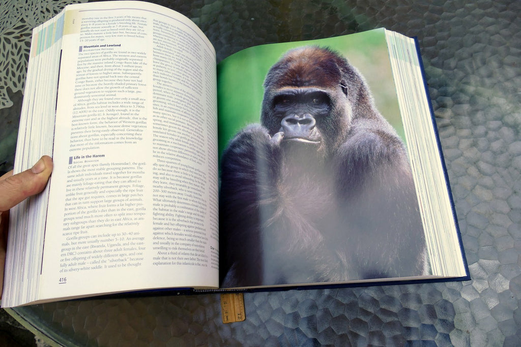 The New Encyclopedia of Mammals by David Macdonald Sasha Norris 2006 hardcover